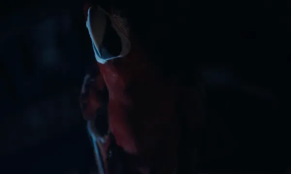 The Parrot