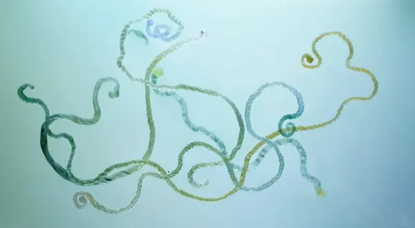 Water's Time Slice