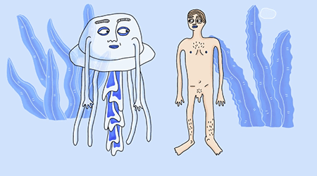 5 Reasons why I don’t trust Jellyfish by Shenja Tatschke