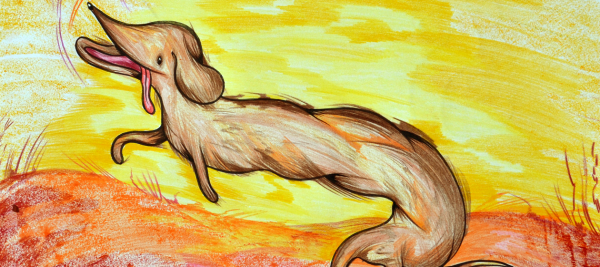 Dessert Dachshund by Betina Bożek