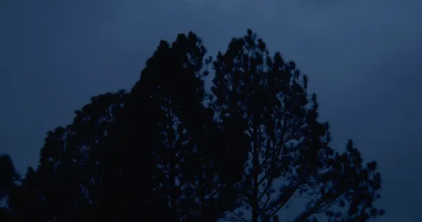 a film is a goodbye that never ends