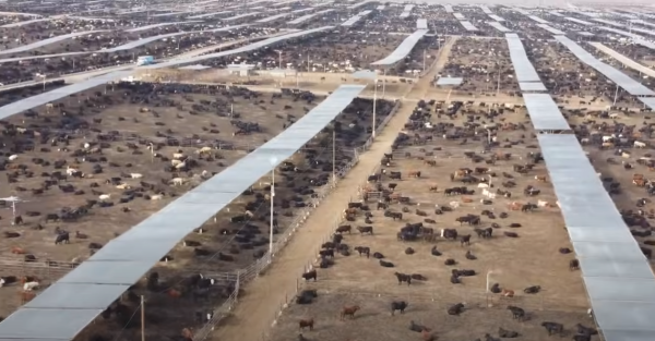 Food Inc. 2