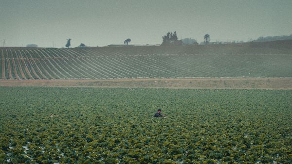 The Long Valley