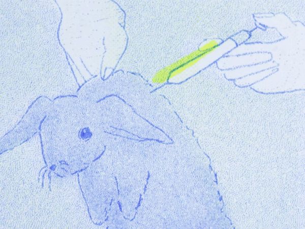 The Rabbit Always Dies