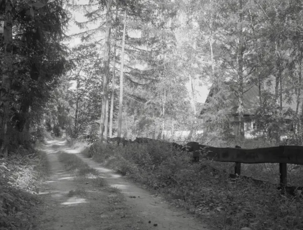 Liminal