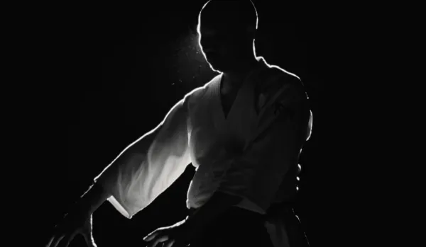 Aikido: The Art of Peace by Deniz Somuncuoglu