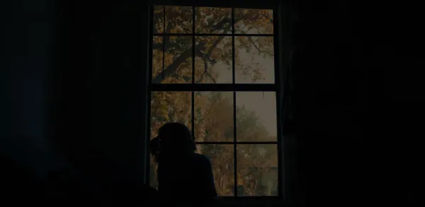 Hide