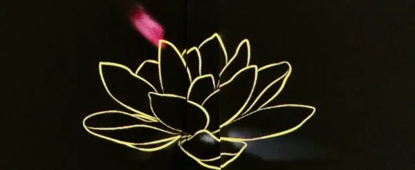 The Lost Golden Lotus by Chisato Minamimura