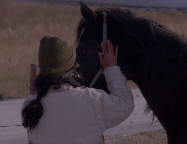 My Life is Wind (a letter)