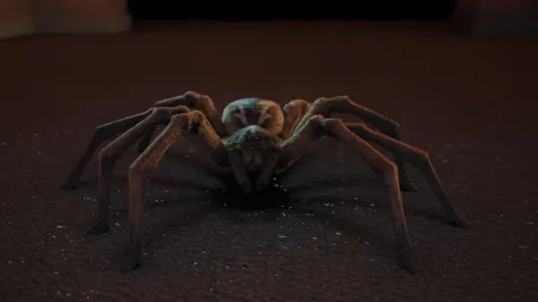 8 Legs