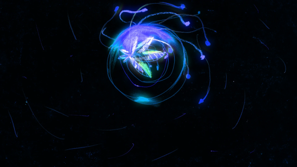 Glimmer