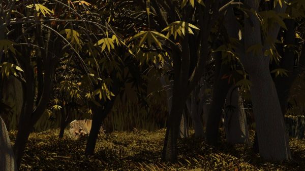 Animadok Kodama