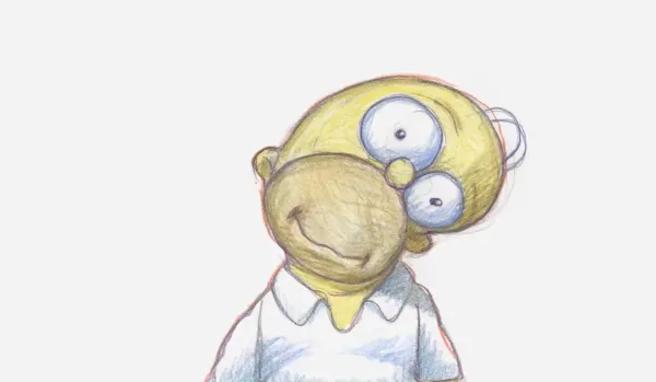 Homer's Face