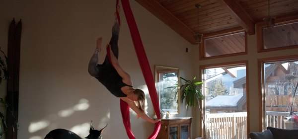 Wild Aerial