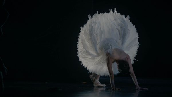 Swan Song
