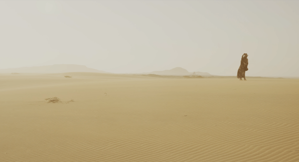 Soul of the Desert