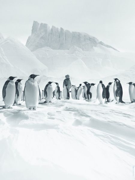 Antarctica Calling by Luc Jacquet
