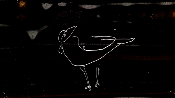 Bird Milk