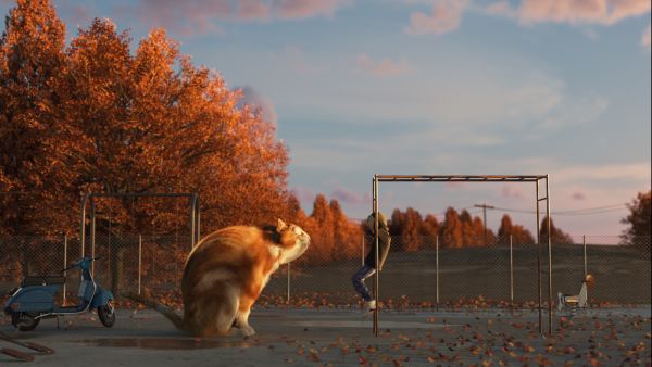 Catisfaction by Andre Marques Almeida