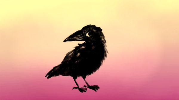 Feathers and Whispers by Hélène Ducrocq