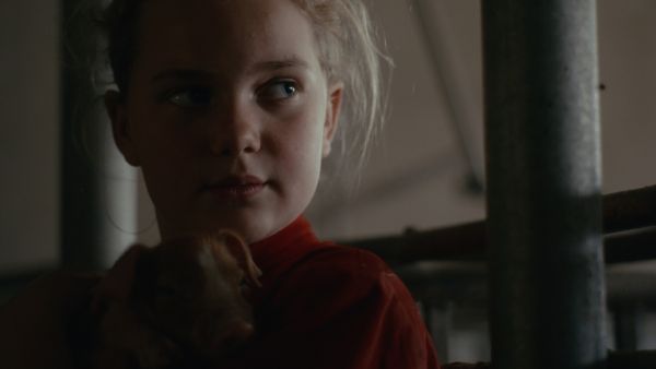 Leonie, Skeet & the piglets