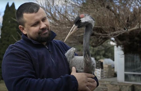 Checkpoint Zoo