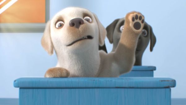 PIP