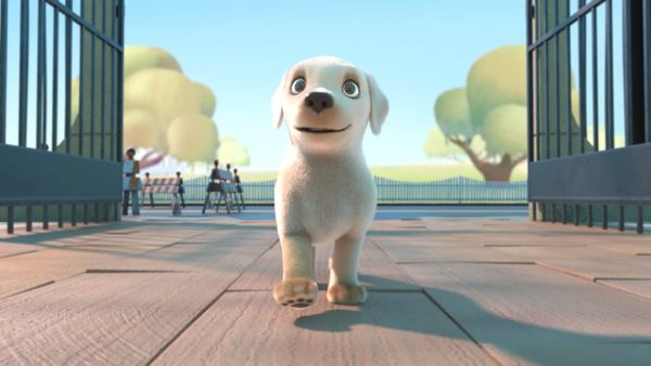 PIP