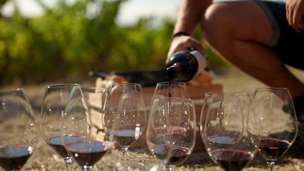 Rioja: The Land of a Thousand Wines