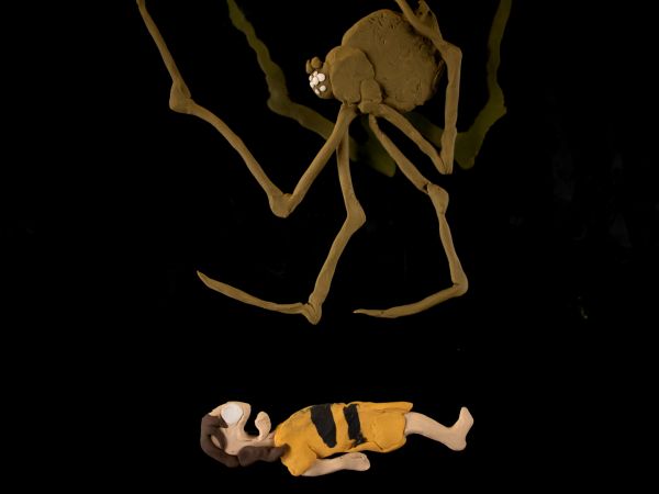 Arachnophobia