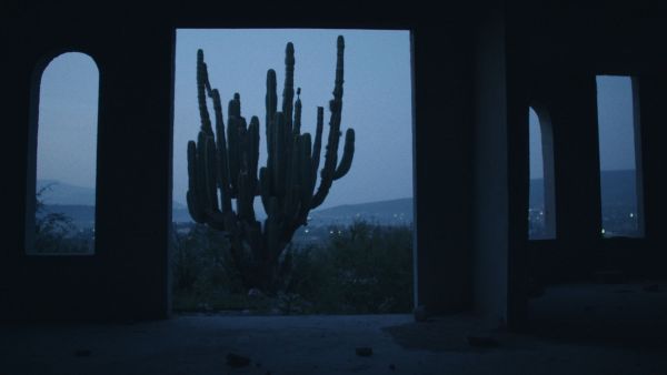 Night of the Coyotes