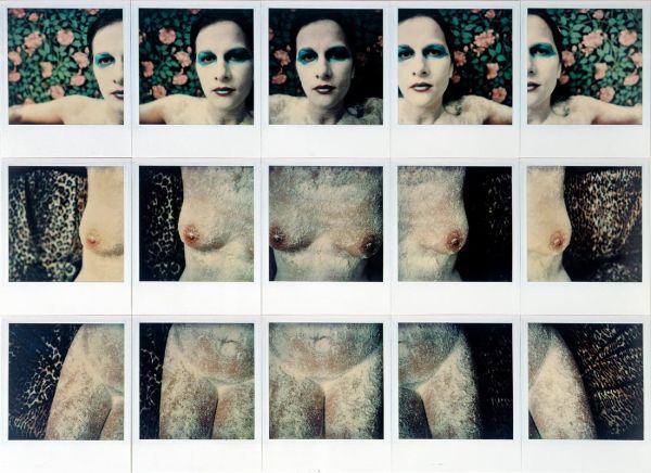Transformation by Holding Time (Muse)