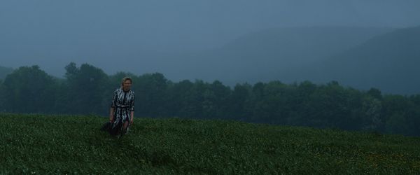 The Quiet Surrender