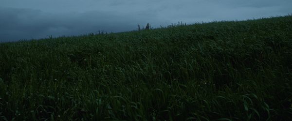 The Quiet Surrender