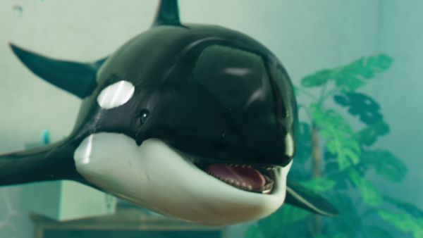 Orca