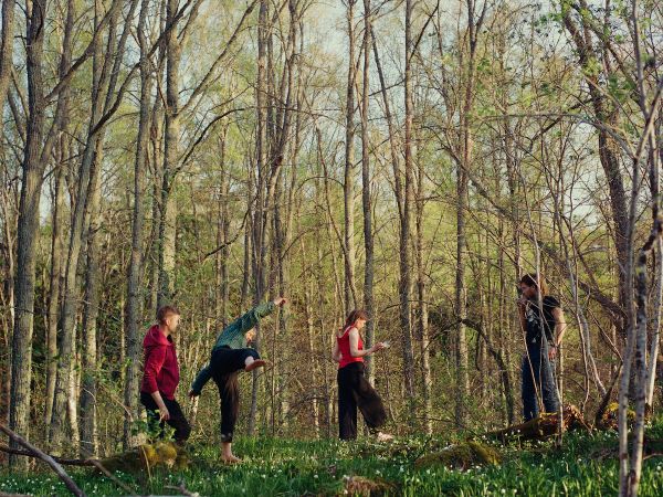 Once Upon a Time in a Forest