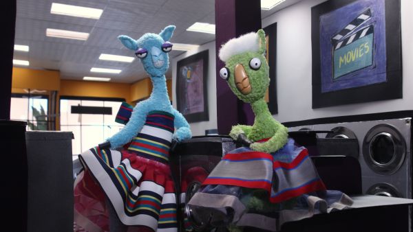 Llamas at the Laundromat