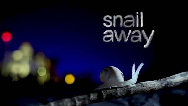 Snail Away by Juliet Campfens