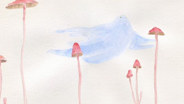 Cosmo Sheldrake – Stop the Music
