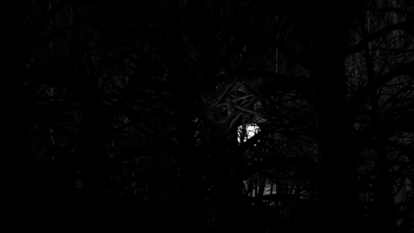 Lost Moon (Ghost World 3)