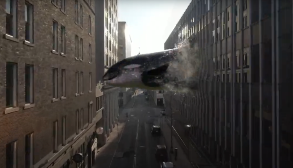 Orca