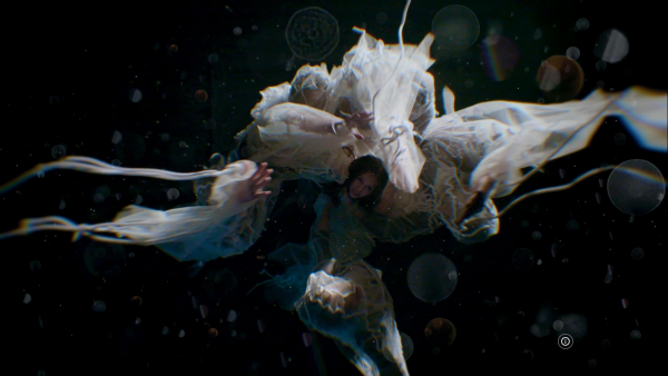 Mycelium