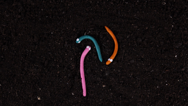 Claws Worm Hunt