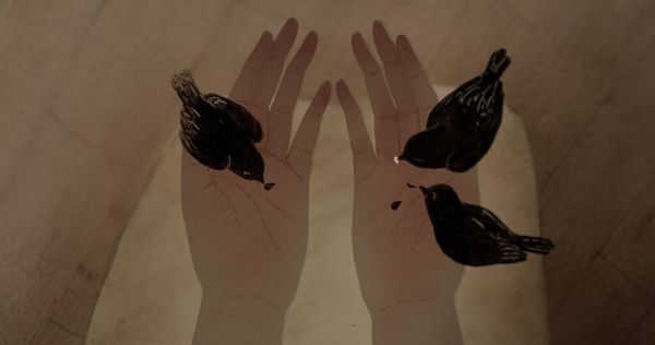 Three Birds