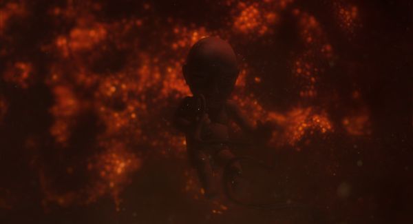 The Little Other