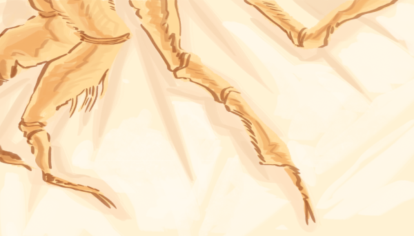 When Cicadas Sing