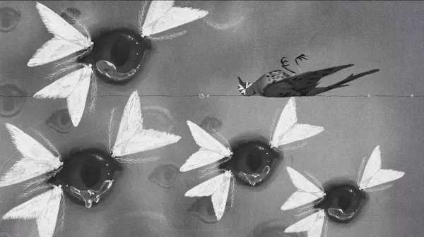 Lachryphagy