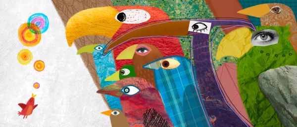 Bird