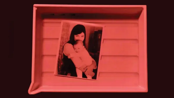 A Photographic Memory by Rachel Elizabeth Seed