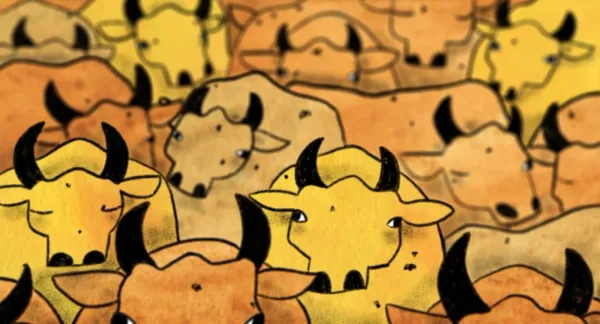 About a Cow